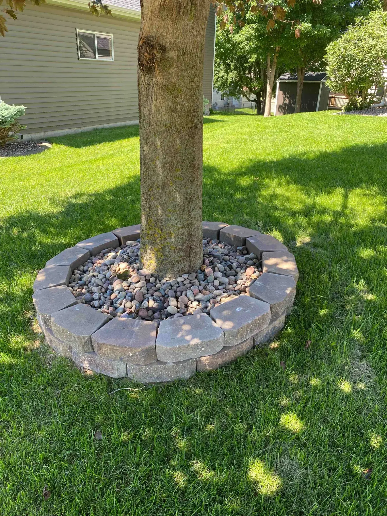 Finished landscaped tree ring completed by Minnlawn