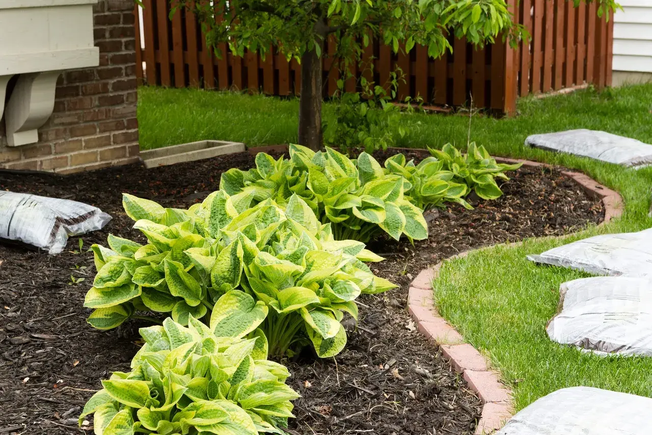 Residential landscaping completed by Minnlawn