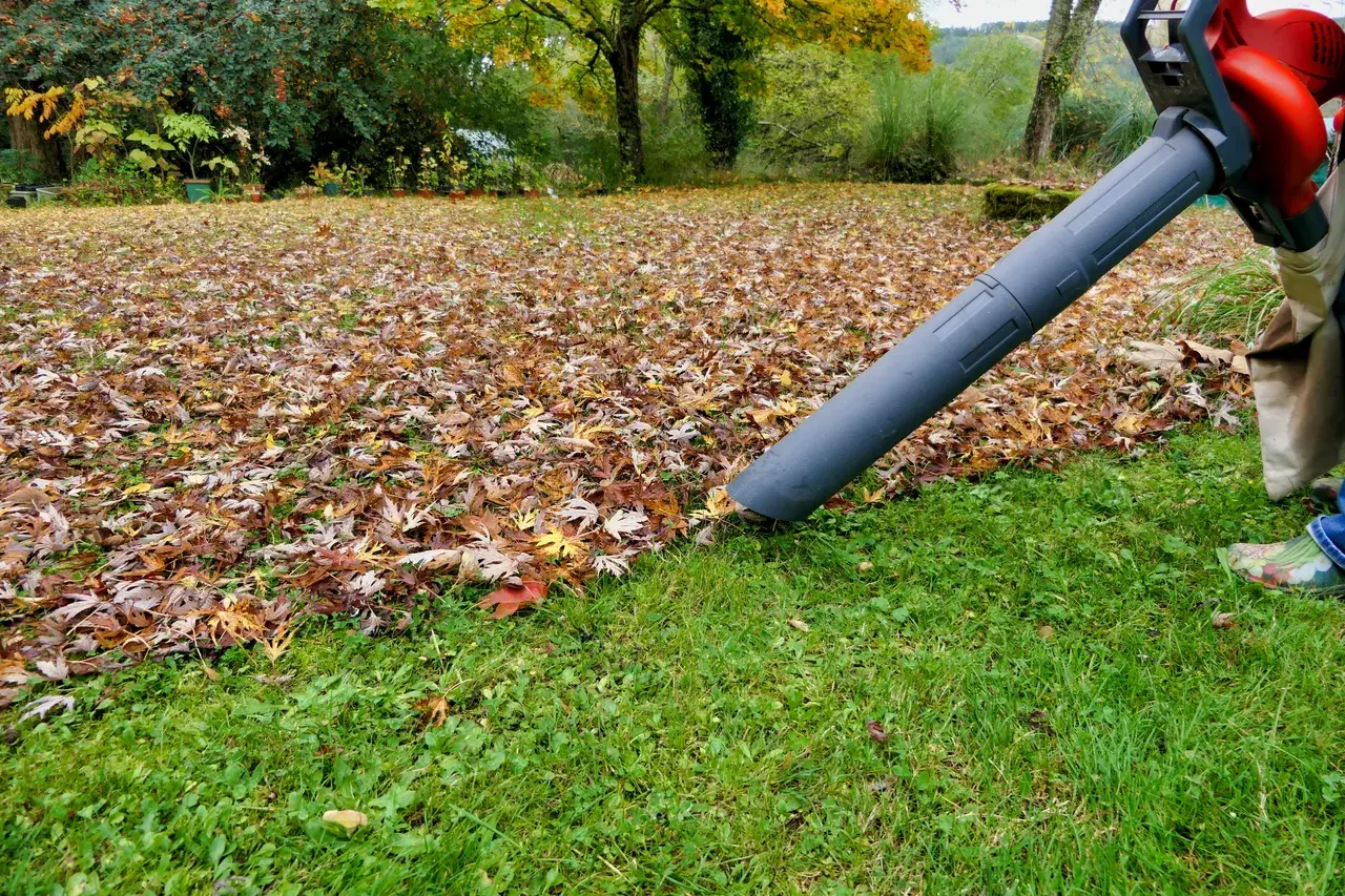 Minnlawn performing seasonal leaf cleanup