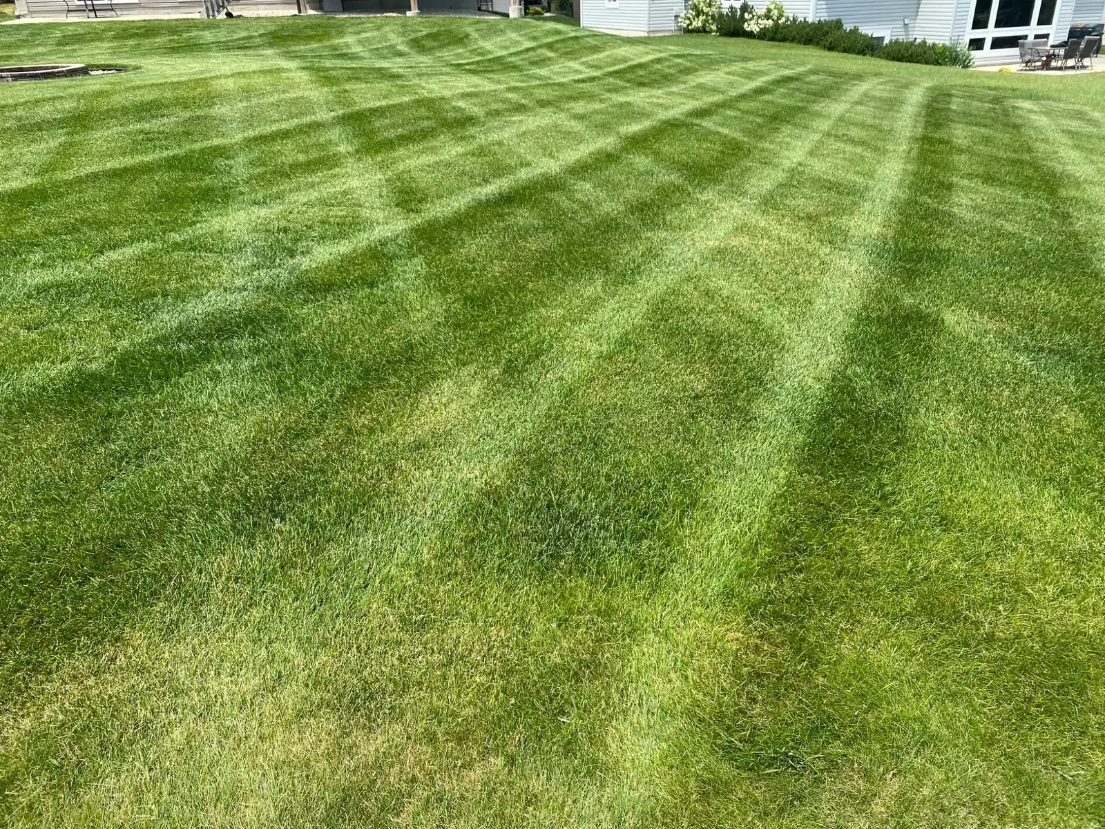 Freshly striped lawn maintained by Minnlawn